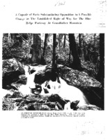 1950sMortonCapsule.pdf
